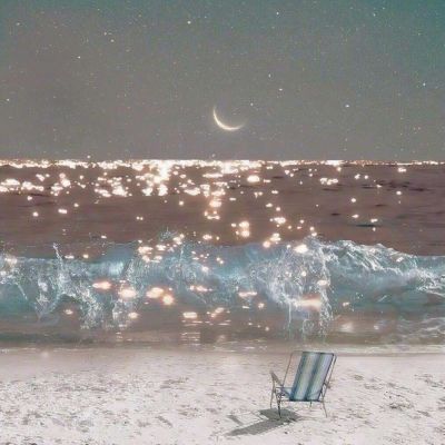 宠物星球果盘变态版下载